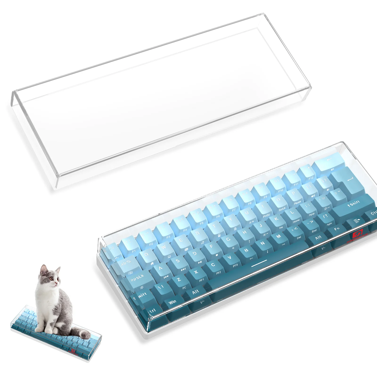 ATTACK SHARK x MAMBASNAKE 68-Key Keyboard Cover Fade Color - Image 15